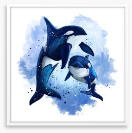 Two blue orcas Framed Art Print 238690434
