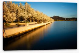 Canberra Stretched Canvas 239016509