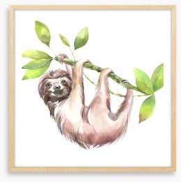 Smiling sloth Framed Art Print 240246685