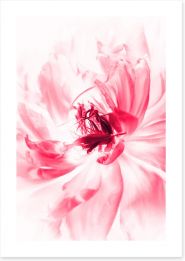 Flowers Art Print 241311961