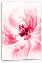 Flowers Stretched Canvas 241311961