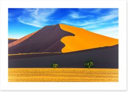Desert Art Print 241579180