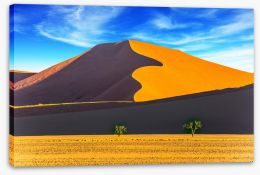 Desert Stretched Canvas 241579180