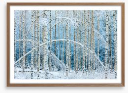 Arctic arches Framed Art Print 242694750