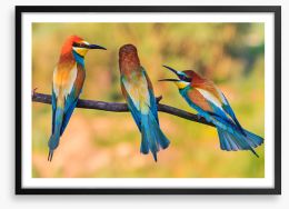 Birds Framed Art Print 243550306