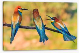 Birds Stretched Canvas 243550306