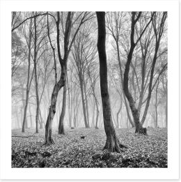 Forests Art Print 246185234