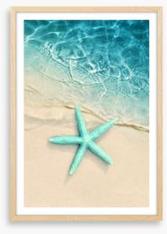 Turquoise starfish sands