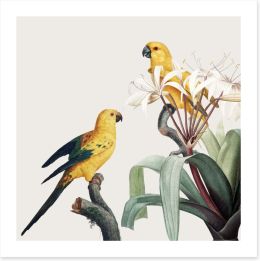 Birds Art Print 246752817