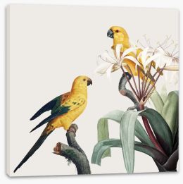 Birds Stretched Canvas 246752817