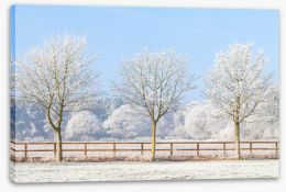 Winter Stretched Canvas 247150245