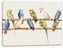 Birds Stretched Canvas 247706451