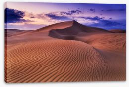 Desert Stretched Canvas 247744527