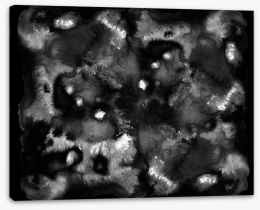 Black and White Stretched Canvas 248095711
