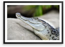 Camouflage croc Framed Art Print 248411630