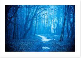 Forests Art Print 249716174