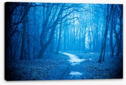 Forests Stretched Canvas 249716174