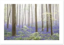 Forests Art Print 250680103