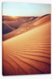 Desert Stretched Canvas 250756944