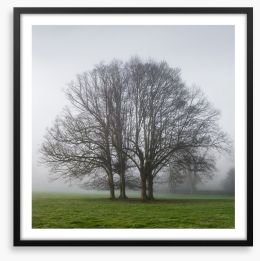 The old oak tree Framed Art Print 251002168