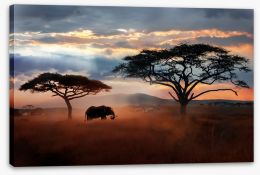 Africa Stretched Canvas 251292788