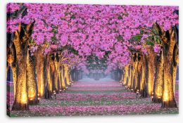 Trees Stretched Canvas 251616469