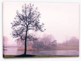 Trees Stretched Canvas 252313699