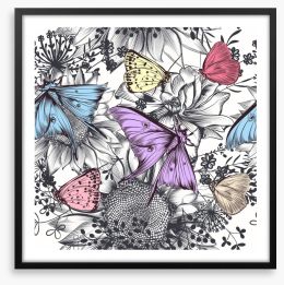 Butterflies Framed Art Print 252521031