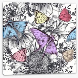 Butterflies Stretched Canvas 252521031