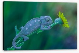 Reptiles / Amphibian Stretched Canvas 252527839