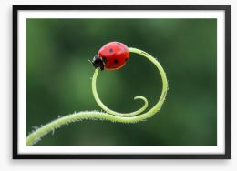 Insects Framed Art Print 252915030