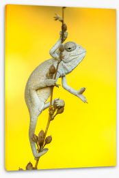 Reptiles / Amphibian Stretched Canvas 254251690