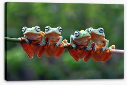 Reptiles / Amphibian Stretched Canvas 254371826