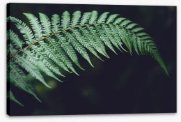 Leaves Stretched Canvas 254646960