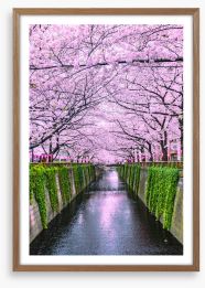 Sakura canal Framed Art Print 255147175