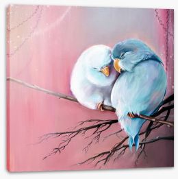Birds Stretched Canvas 255338719