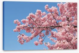 Spring Stretched Canvas 255706267