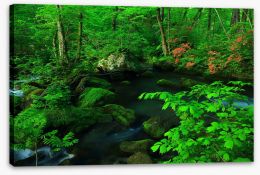 Forests Stretched Canvas 255856663