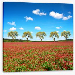 Meadows Stretched Canvas 256966420