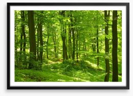 Emerald forest Framed Art Print 25737851