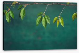 Leaves Stretched Canvas 257381829