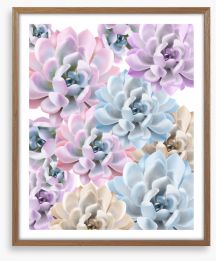 Sweet and succulent Framed Art Print 257459156