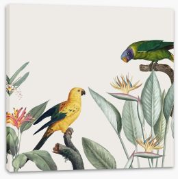 Birds Stretched Canvas 257784433
