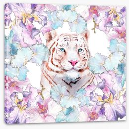 Animals Stretched Canvas 259392635