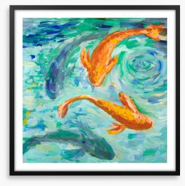 Swimming in circles Framed Art Print 259493875