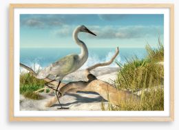 White egret beach Framed Art Print 260510163