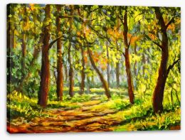 In the sunny forest Stretched Canvas 262506887