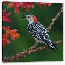 Birds Stretched Canvas 263278836