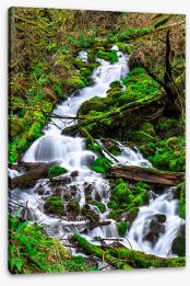 Waterfalls Stretched Canvas 263331794