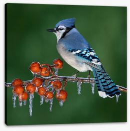 Birds Stretched Canvas 263739486